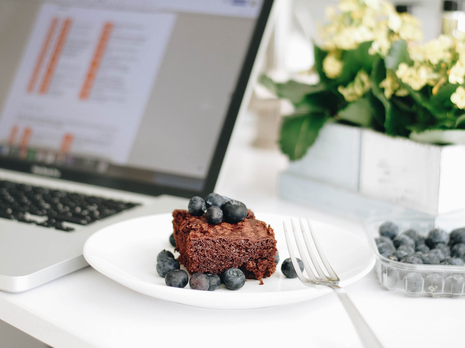 Cake with blueberries in the PUMA office