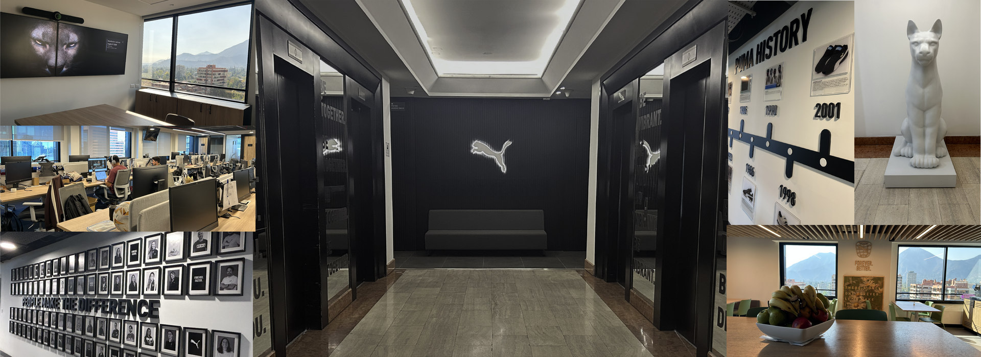 PUMA Latin America Hub