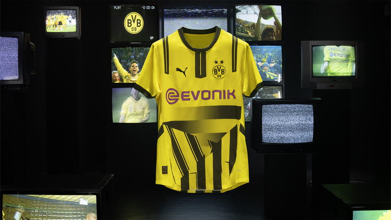 PUMA BVB CUP KIT