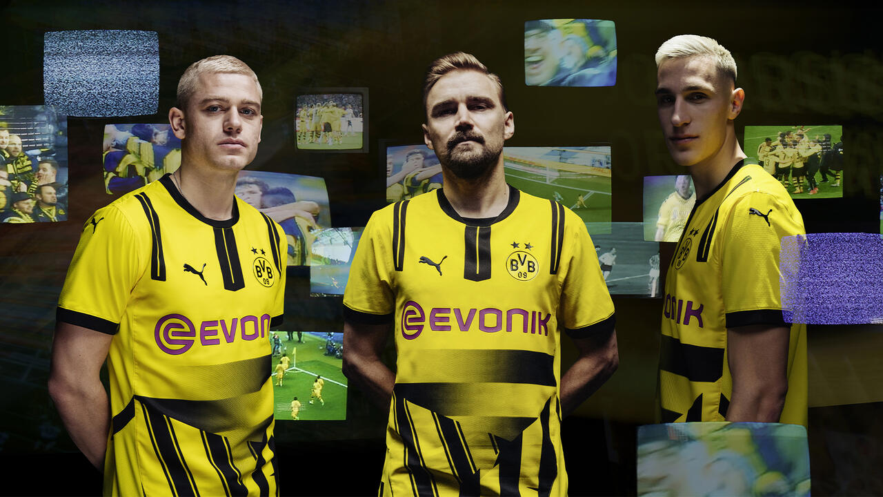 PUMA BVB CUP KIT