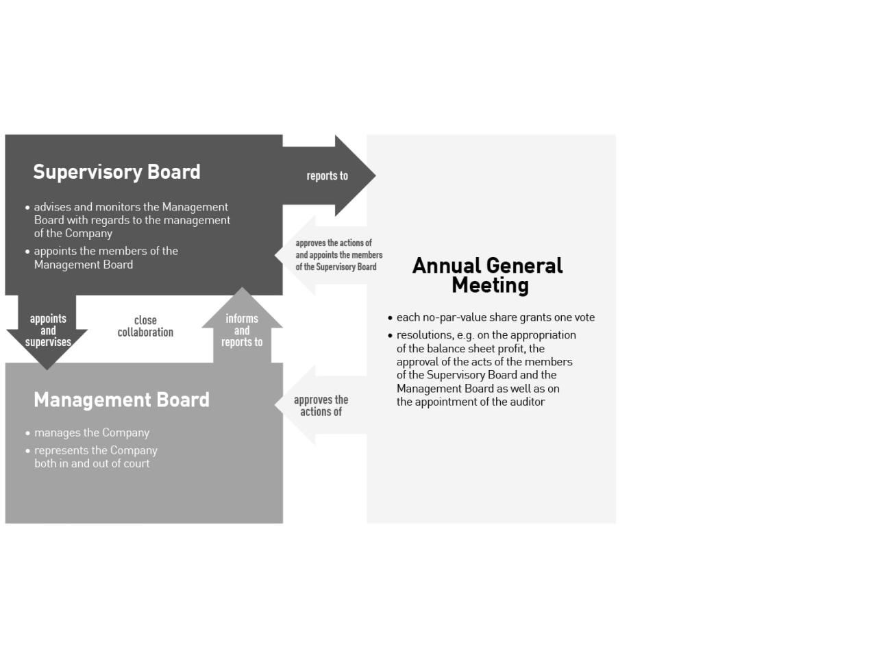 Corporate Governance System